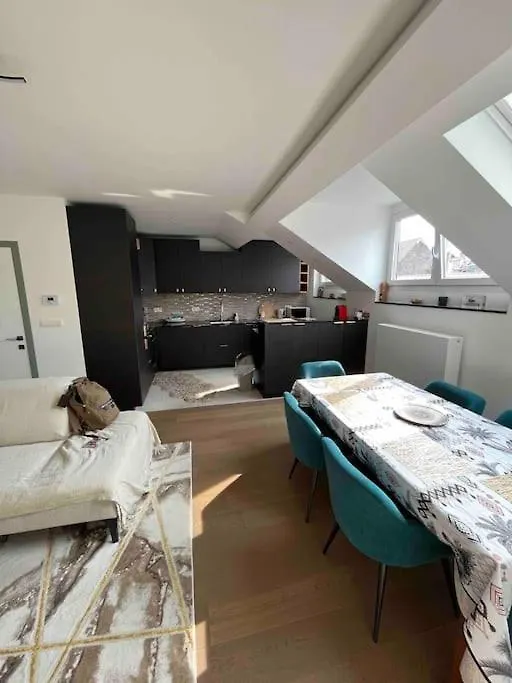 Duplex Avec Terrasse Quartier Europeen Brussels Apartment