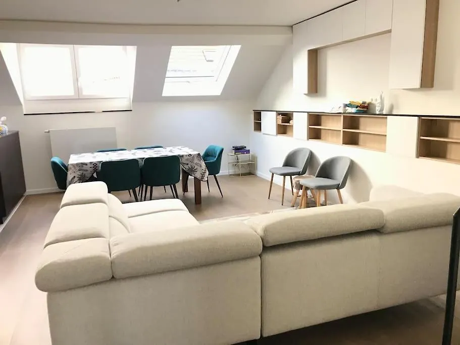 Duplex Avec Terrasse Quartier Europeen Brussels