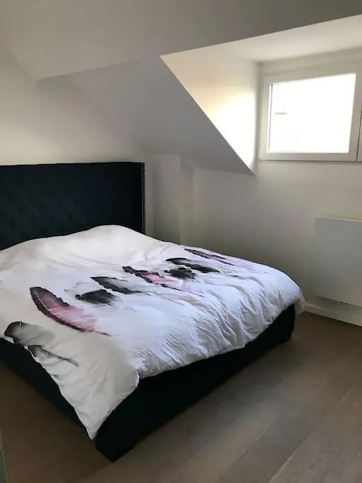 Duplex Avec Terrasse Quartier Europeen Brussels 0*,